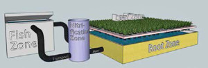 Aquaponics